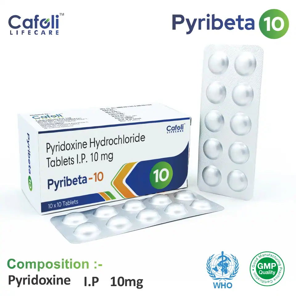 Pyridoxine 10 mg Tablet PCD Pharma Franchise